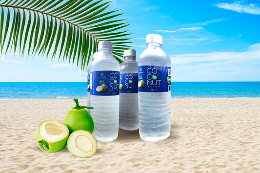 500mL 6 Pack